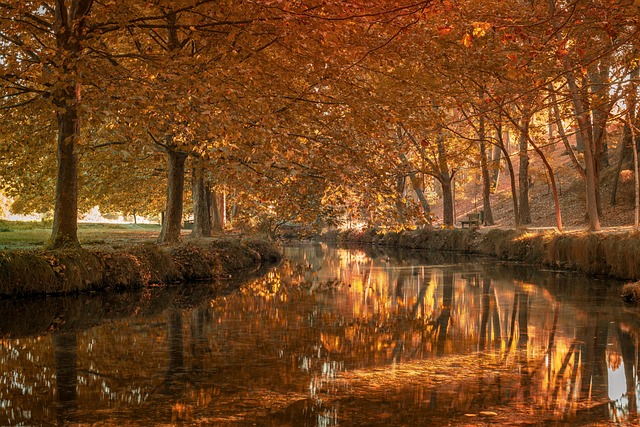 Grabación de sesión introductoria sobre los cuatro modelos de crowdfunding con diagramas explicativos