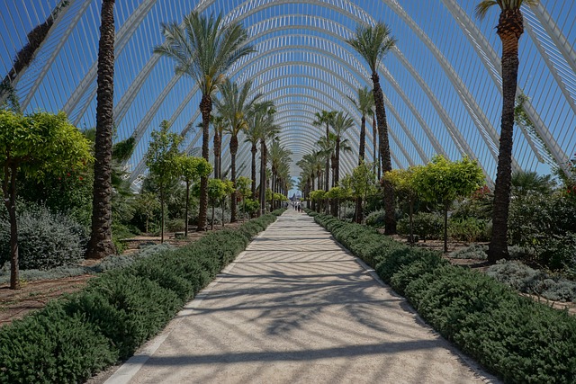 Elena Martínez Serrano directora y cofundadora de CrowdfundingVLC en Valencia